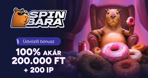 Promo Banner