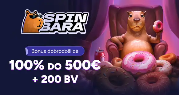 Promo Banner