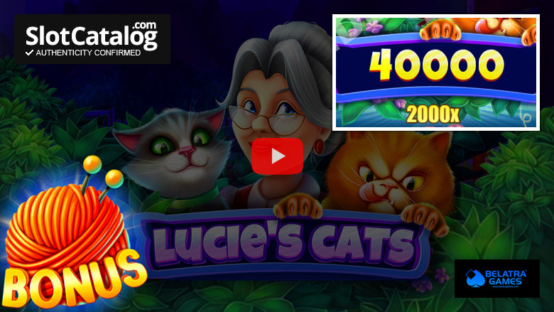 Lucie's Cats slot Big Win November 2021