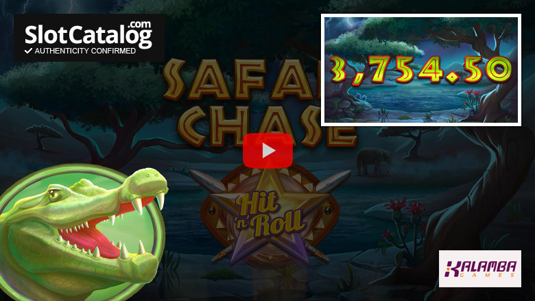 Safari Chase Hit 'n' Roll slot Big Win August 2022