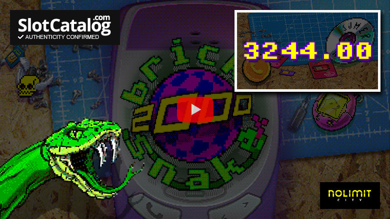 Slot Brick Snake 2000 Big Win marzo 2024
