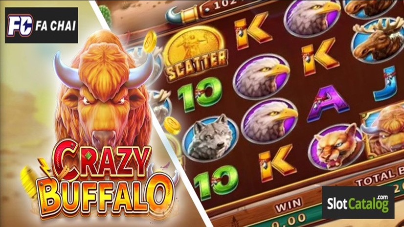 Crazy Buffalo