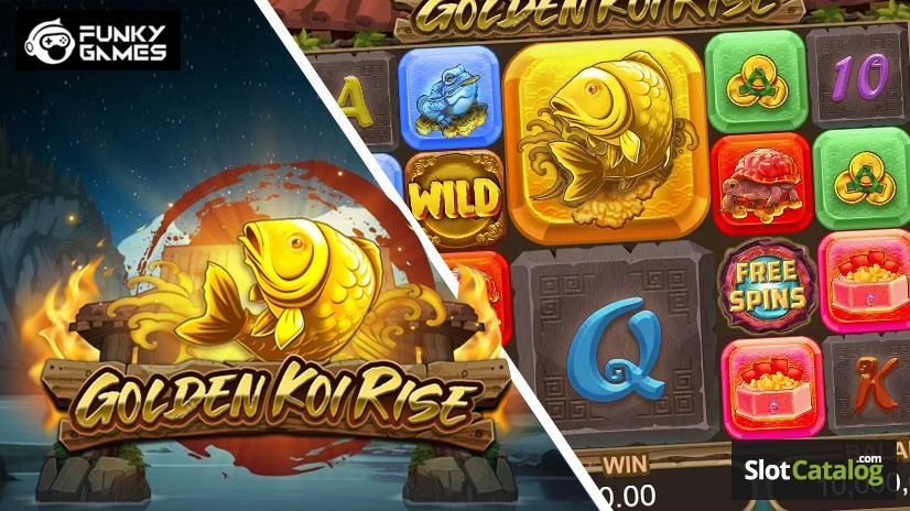 Golden Koi Rise Golden Koi Rise