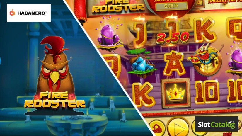 Reel-Screen Reel-Screen