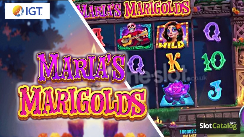 Maria's Marigolds