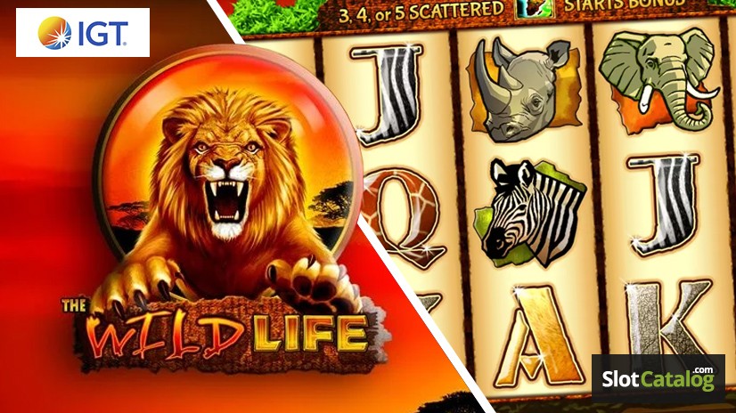 The Wild Life