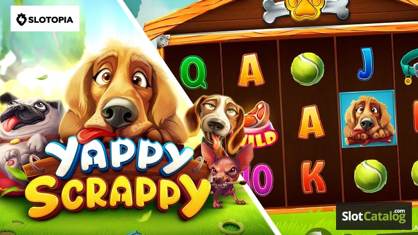 Yappy Scrappy
