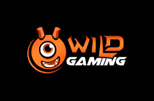 Wild Gaming ᐈ 20+ slots, + casinos and bonuses.