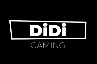 Didi Gaming slot