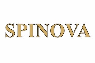 Spinova slot