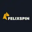 FelixSpin