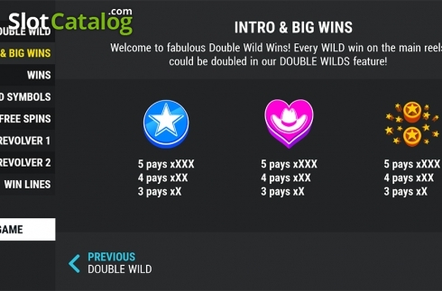 PayTable screen 2. Double Wild Wins slot