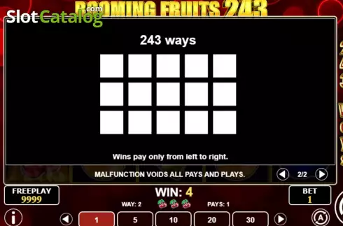 Pay Lines screen. Booming Fruits 243 slot