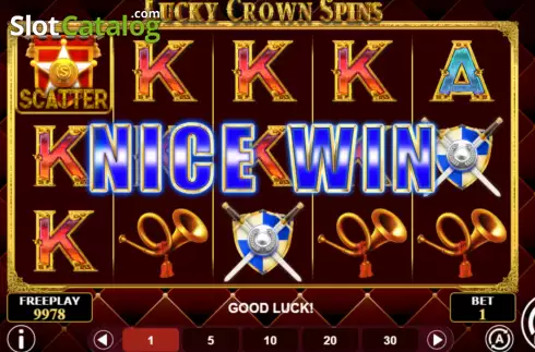 Nice Win screen. Lucky Crown Spins slot