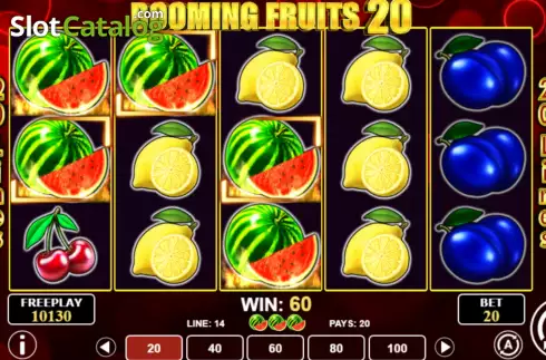 Win screen. Booming Fruits 20 slot