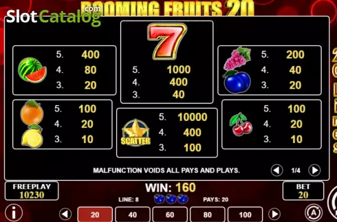 Pay Table screen. Booming Fruits 20 slot