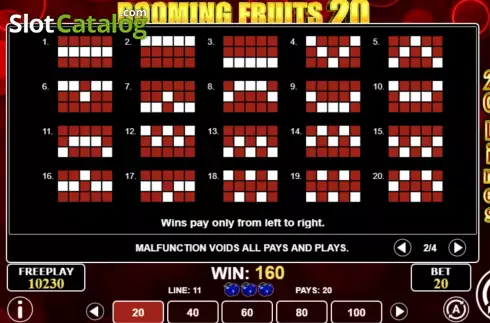 Pay Lines screen. Booming Fruits 20 slot