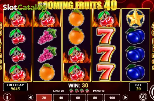 Win screen. Booming Fruits 40 slot
