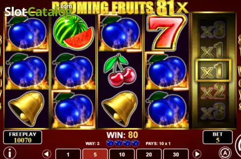 Win screen 4. Booming Fruits 81x slot