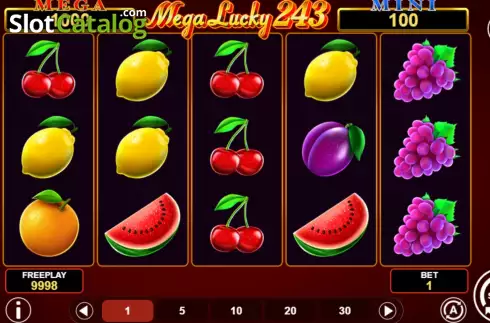 Game screen. Mega Lucky 243 slot