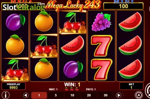 Win screen. Mega Lucky 243 slot