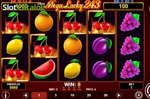 Win screen 3. Mega Lucky 243 slot