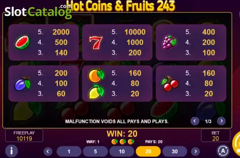 PayTable screen. Hot Coins & Fruits 243 slot