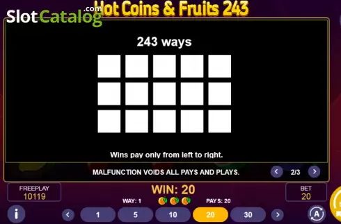 PayLines screen. Hot Coins & Fruits 243 slot