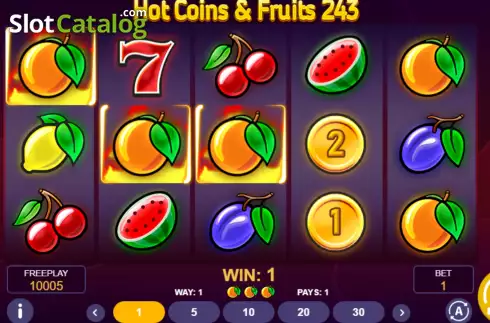 Skärmdump3. Hot Coins & Fruits 243 slot