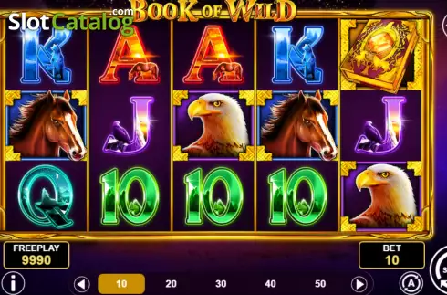 Game screen. Book of Wild slot