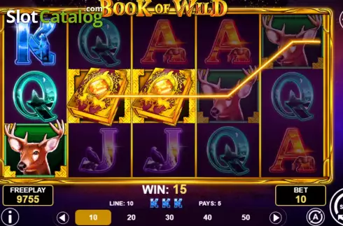 Win screen 2. Book of Wild slot