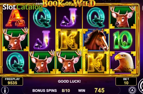 Free Spins screen 3. Book of Wild slot