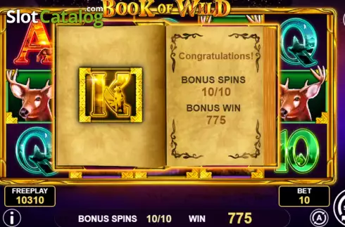 Win Free Spins screen. Book of Wild slot