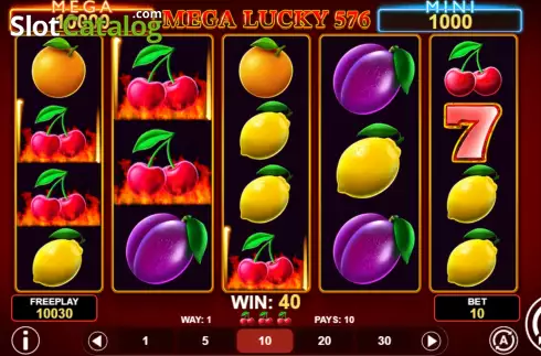 Win Screen. Mega Lucky 576 slot