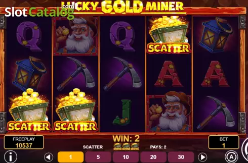 Ekran6. Lucky Gold Miner yuvası