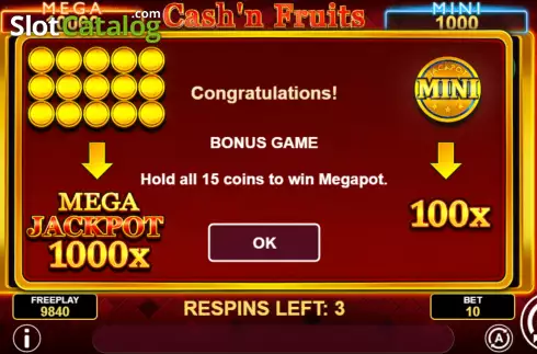 Bildschirm7. Cash'n Fruits Hold and Win slot