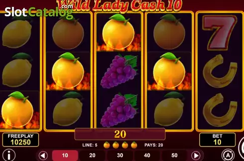Win screen. Wild Lady Cash 10 slot