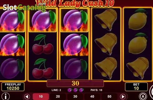 Win screen 2. Wild Lady Cash 10 slot