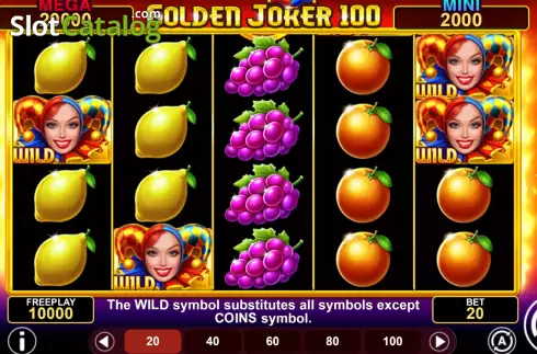 Ekran2. Golden Joker 100 Hold and Win yuvası