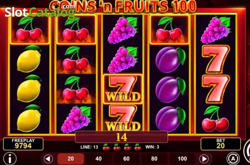 Win screen. Coins'n Fruits 100 slot