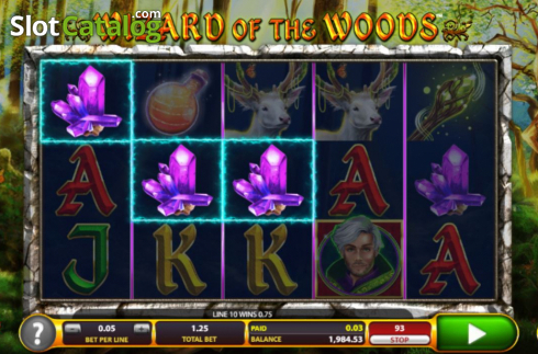 Bildschirm6. Wizard of the Woods slot