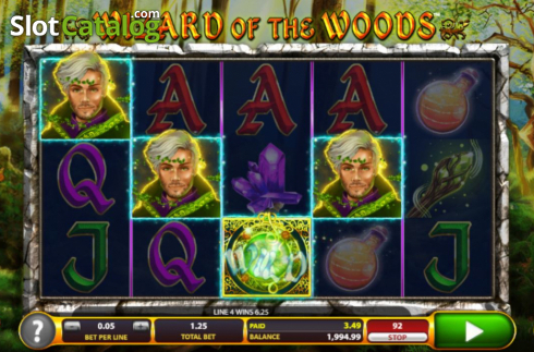 Schermo5. Wizard of the Woods slot