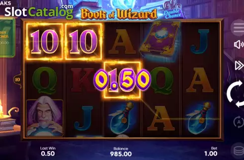 Win Screen 2. Book of Wizard Double Chance slot