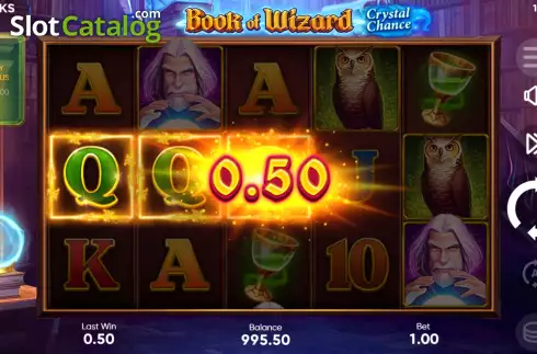 Win Screen. Book of Wizard: Crystal Chance slot