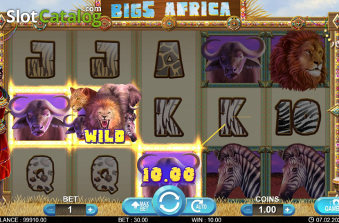 Win screen 2. Big 5 Africa slot