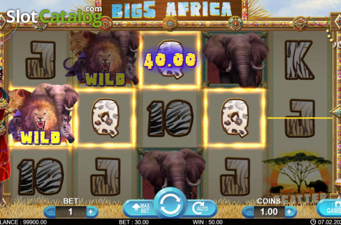 Bildschirm5. Big 5 Africa slot