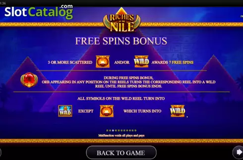 Free Spins screen. Riches of the Nile slot