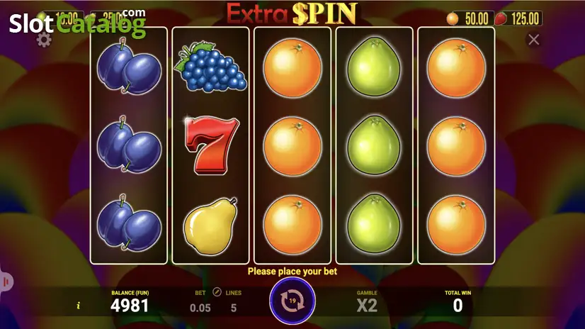 Extra-Spin