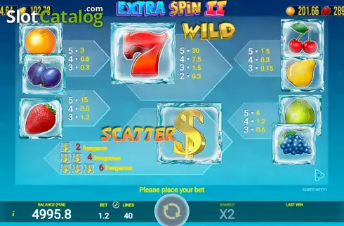 PayTable screen. Extra Spin 2 slot