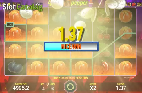 Win screen. 40 Hot Pepper 6 Reels slot